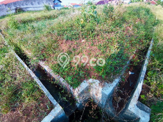 Tanah Dijual Lokasi Cianjur Cianjur SHM Tanah Dijual Lokasi Cianjur Cianjur SHM