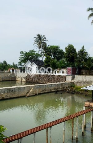 Komersial Dijual Lokasi Stratagis di Cianjur Cianjur Cocok untuk Bisnis Komersial Dijual Lokasi Stratagis di Cianjur Cianjur Cocok untuk Bisnis