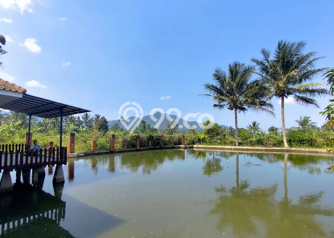 Rumah Luas Asri 2 KT Siap Pakai di Cianjur Kota Cianjur Rumah Luas Asri 2 KT Siap Pakai di Cianjur Kota Cianjur
