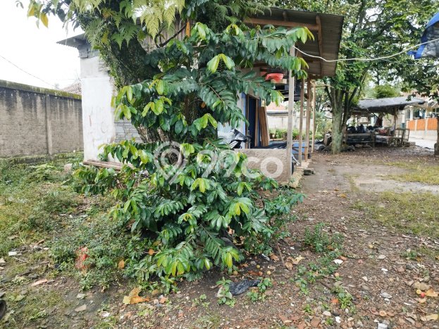 Paling Dicari! Komersial Dijual di Cianjur Kota Harga Kompetitif Paling Dicari! Komersial Dijual di Cianjur Kota Harga Kompetitif