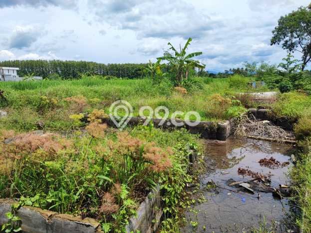 Tanah Kavling di Karangtengah Dijual dengan Luas 2000m2 Tanah Kavling di Karangtengah Dijual dengan Luas 2000m2