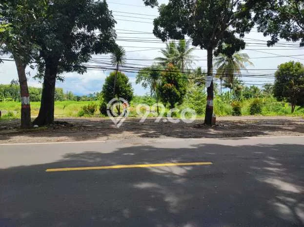 Tanah Kavling di Karangtengah Dijual dengan Luas 2000m2 Tanah Kavling di Karangtengah Dijual dengan Luas 2000m2