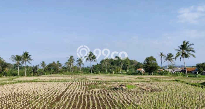 AREA PROSPEKTIF! Tanah di Cilaku, Luas 12600m2m², Dekat Fasilitas Umum AREA PROSPEKTIF! Tanah di Cilaku, Luas 12600m2m², Dekat Fasilitas Umum