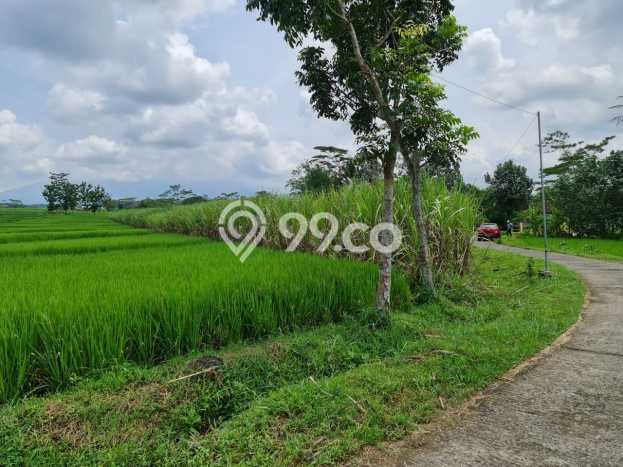 Tanah untuk Dijual di Tawangmangu Solo Luas 8037m2 Tanah untuk Dijual di Tawangmangu Solo Luas 8037m2