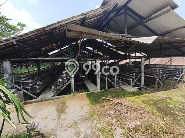 Kavling Tanah di Mojolaban Dijual Luas 17371m2 Legalitas SHM Kavling Tanah di Mojolaban Dijual Luas 17371m2 Legalitas SHM