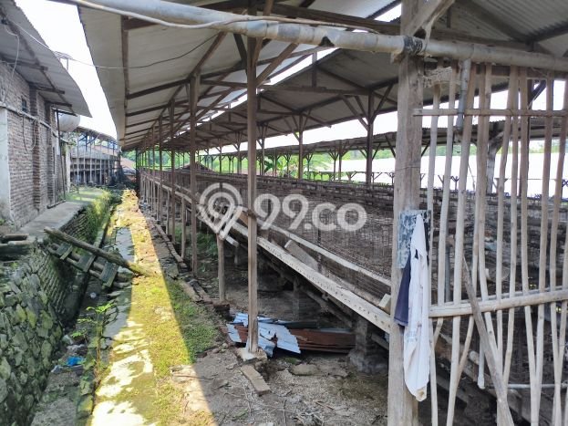 Kavling Tanah di Mojolaban Dijual Luas 17371m2 Legalitas SHM Kavling Tanah di Mojolaban Dijual Luas 17371m2 Legalitas SHM