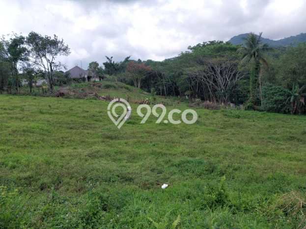 Untuk Dijual Tanah di Tomohon Utara Tomohon Luas 14380m2 SHM Untuk Dijual Tanah di Tomohon Utara Tomohon Luas 14380m2 SHM