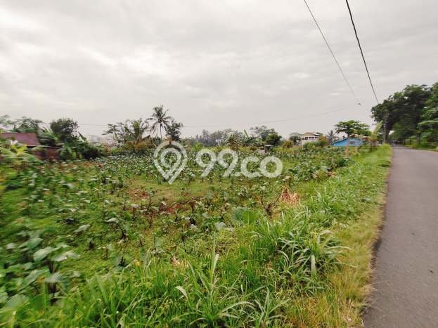 Tanah Dijual Lokasi Padamara, Purbalingga Luas 2517m2 Legalitas Aman Tanah Dijual Lokasi Padamara, Purbalingga Luas 2517m2 Legalitas Aman