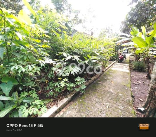 Dijual Tanah di Karanganyar Purbalingga Luas 825m2 - Dijual Tanah di Karanganyar Purbalingga Luas 825m2 -