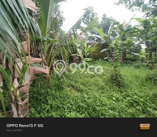 Kavling Tanah di Sumbang Dijual Luas 308m2 Legalitas SHM Kavling Tanah di Sumbang Dijual Luas 308m2 Legalitas SHM