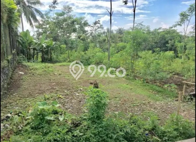 Tanah Kavling Dijual di Banyumas dengan Spesifikasi 3841m2 Tanah Kavling Dijual di Banyumas dengan Spesifikasi 3841m2