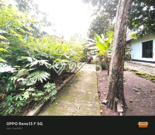 Dijual Tanah di Karanganyar Purbalingga Luas 825m2 - Dijual Tanah di Karanganyar Purbalingga Luas 825m2 -