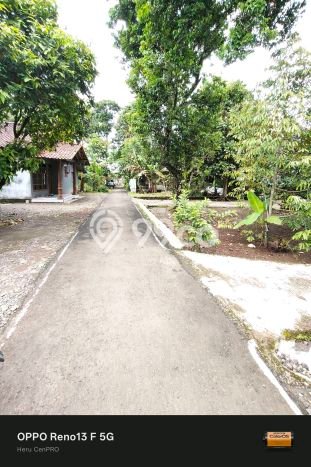 Dijual Tanah di Karanganyar Purbalingga Luas 825m2 - Dijual Tanah di Karanganyar Purbalingga Luas 825m2 -