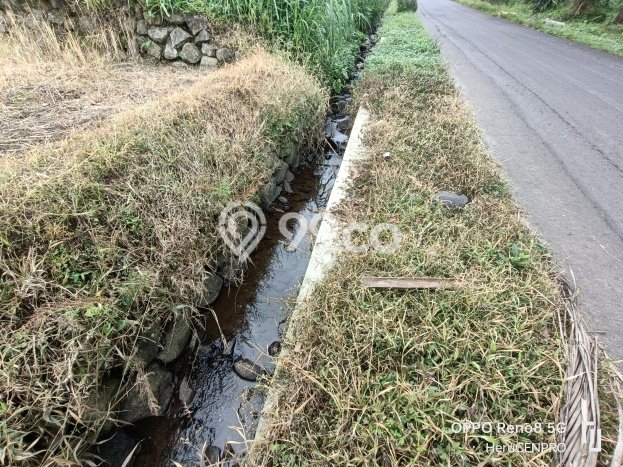 Tanah Dijual Lokasi Sumbang Banyumas SHM Tanah Dijual Lokasi Sumbang Banyumas SHM