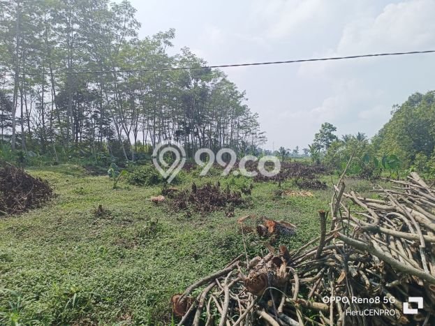 Tanah Dijual Lokasi Sumbang Banyumas SHM Tanah Dijual Lokasi Sumbang Banyumas SHM
