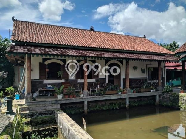 Dijual Cepat Rumah Favorit Siap Huni LB 500m2 di Purwokerto Utara, Banyumas Dijual Cepat Rumah Favorit Siap Huni LB 500m2 di Purwokerto Utara, Banyumas