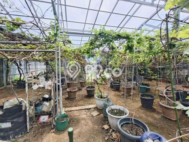 Hunian Elit LB 300m2 Siap Pakai Desain Elegan di Kedungbanteng, Banyumas Hunian Elit LB 300m2 Siap Pakai Desain Elegan di Kedungbanteng, Banyumas