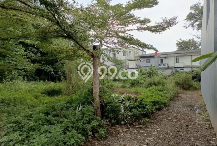 Kavling Tanah Dijual di Purwokerto Timur Purwokerto Spesifikasi 546m2 Kavling Tanah Dijual di Purwokerto Timur Purwokerto Spesifikasi 546m2
