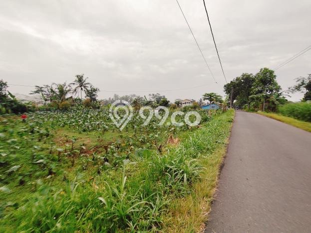 Tanah Dijual Lokasi Padamara, Purbalingga Luas 2517m2 Legalitas Aman Tanah Dijual Lokasi Padamara, Purbalingga Luas 2517m2 Legalitas Aman