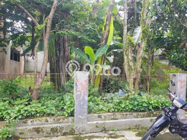 Kavling Tanah di Sumbang Dijual Luas 250m2 Legalitas SHM Kavling Tanah di Sumbang Dijual Luas 250m2 Legalitas SHM