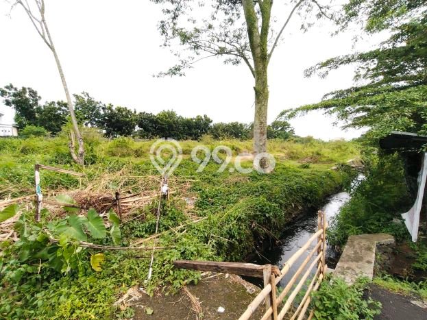 Tanah Kosong Dijual di Banyumas dengan Area 1194m2 Tanah Kosong Dijual di Banyumas dengan Area 1194m2