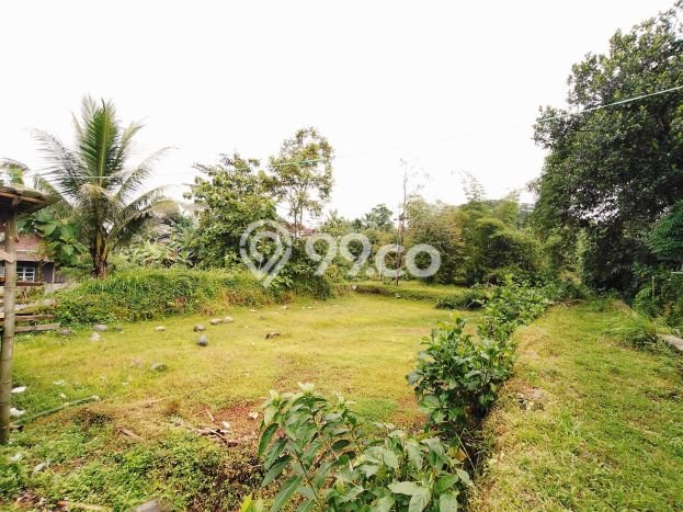 Kavling Tanah di Padamara Dijual Luas 4396m2 Legalitas SHM Kavling Tanah di Padamara Dijual Luas 4396m2 Legalitas SHM