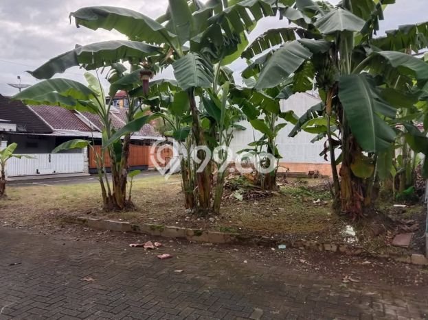 Kavling Tanah Dijual di Purwokerto Timur Purwokerto Spesifikasi 231m2 Kavling Tanah Dijual di Purwokerto Timur Purwokerto Spesifikasi 231m2