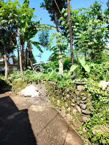 Kavling Tanah Dijual di Purwokerto Utara Banyumas Spesifikasi 567m2 Kavling Tanah Dijual di Purwokerto Utara Banyumas Spesifikasi 567m2