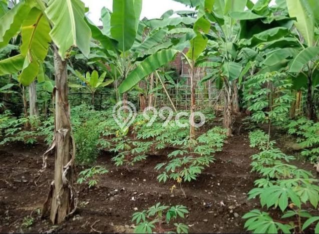 Tanah Kosong Dijual di Purwokerto dengan Area 280m2 Tanah Kosong Dijual di Purwokerto dengan Area 280m2