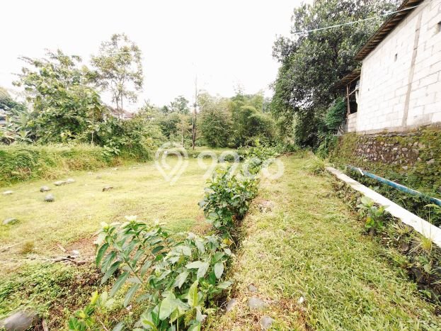 Kavling Tanah di Padamara Dijual Luas 4396m2 Legalitas SHM Kavling Tanah di Padamara Dijual Luas 4396m2 Legalitas SHM