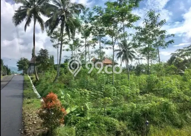 Tanah Kavling Dijual di Banyumas dengan Spesifikasi 3841m2 Tanah Kavling Dijual di Banyumas dengan Spesifikasi 3841m2