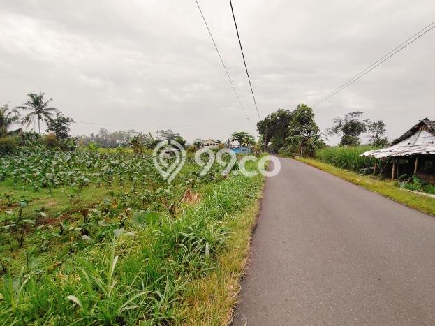 Tanah Dijual Lokasi Padamara, Purbalingga Luas 2517m2 Legalitas Aman Tanah Dijual Lokasi Padamara, Purbalingga Luas 2517m2 Legalitas Aman