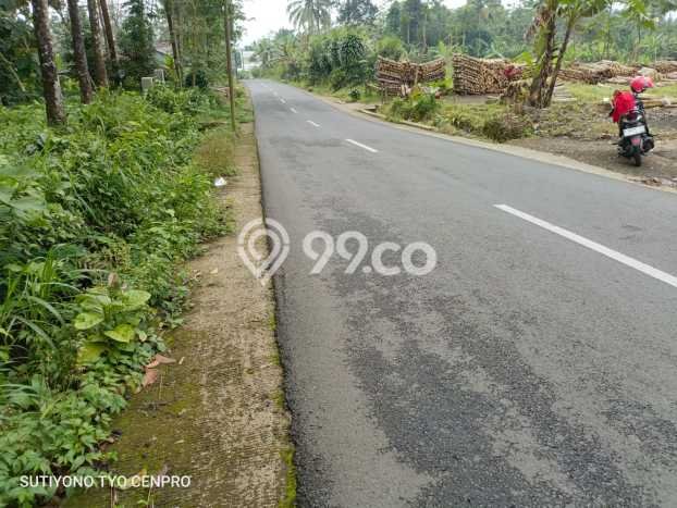 Tanah Komersial Dijual di Sumbang Banyumas 840m2 Tanah Komersial Dijual di Sumbang Banyumas 840m2