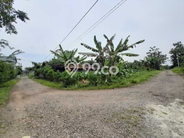 Untuk Dijual Tanah di Banyumas, Luas 350m2 SHM Untuk Dijual Tanah di Banyumas, Luas 350m2 SHM