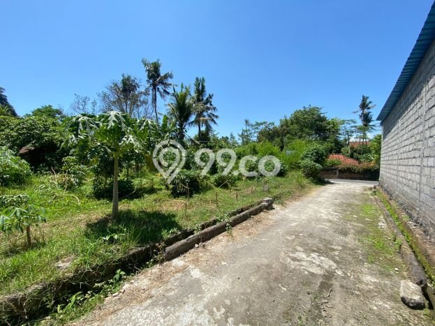 PENAWARAN MENARIK! Tanah di Keramas, Luas 485m², Lokasi Strategis PENAWARAN MENARIK! Tanah di Keramas, Luas 485m², Lokasi Strategis