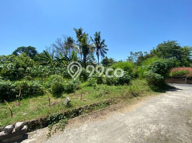 PENAWARAN MENARIK! Tanah di Keramas, Luas 485m², Lokasi Strategis PENAWARAN MENARIK! Tanah di Keramas, Luas 485m², Lokasi Strategis