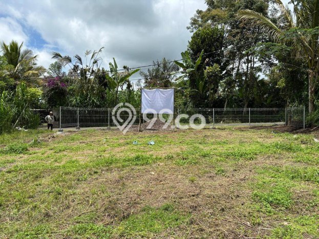 Dijual Tanah Lokasi Taro, Gianyar Seluas 2091m2 Dijual Tanah Lokasi Taro, Gianyar Seluas 2091m2