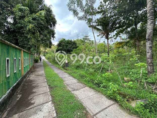 Tanah Kavling Dijual di Kayuputih, Buleleng dengan Luas Tanah 7120m2 Tanah Kavling Dijual di Kayuputih, Buleleng dengan Luas Tanah 7120m2