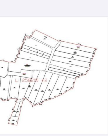 Kavling Tanah untuk Dijual di Purwodadi, Malang, Luas 250000m2 Kavling Tanah untuk Dijual di Purwodadi, Malang, Luas 250000m2