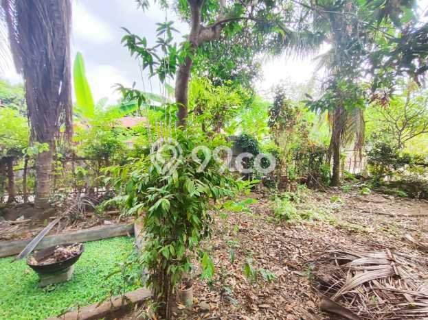 Rumah Budget Favorit Siap Huni di Sukasada LT 200m2 Rumah Budget Favorit Siap Huni di Sukasada LT 200m2