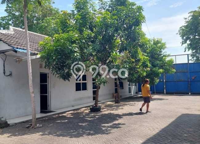 Gudang Dijual di Kawasan Prambon, Sidoarjo Harga Kompetitif Gudang Dijual di Kawasan Prambon, Sidoarjo Harga Kompetitif
