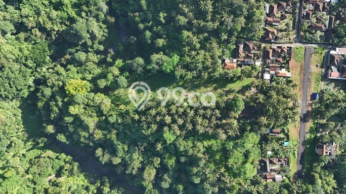 Lahan Dijual Lokasi Gianyar, Gianyar dengan Luas Tanah 4960m2 dan Status SHM Lahan Dijual Lokasi Gianyar, Gianyar dengan Luas Tanah 4960m2 dan Status SHM