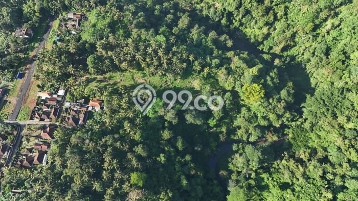 Lahan Dijual Lokasi Gianyar, Gianyar dengan Luas Tanah 4960m2 dan Status SHM Lahan Dijual Lokasi Gianyar, Gianyar dengan Luas Tanah 4960m2 dan Status SHM