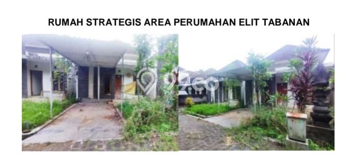Rumah Minimalis Dijual Lokasi Kerambitan 2 Kamar dengan LT 91m2 Rumah Minimalis Dijual Lokasi Kerambitan 2 Kamar dengan LT 91m2