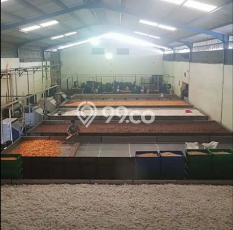 Gudang Bagus LT 4417m2 LB 2500m2 Dijual di Prambon Sidoarjo Gudang Bagus LT 4417m2 LB 2500m2 Dijual di Prambon Sidoarjo
