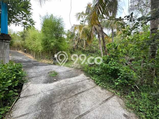Tanah Kavling Dijual di Kayuputih, Buleleng dengan Luas Tanah 7120m2 Tanah Kavling Dijual di Kayuputih, Buleleng dengan Luas Tanah 7120m2
