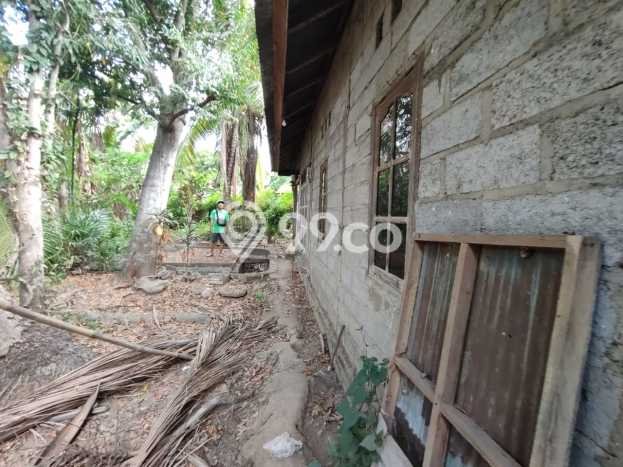 Rumah Budget Favorit Siap Huni di Sukasada LT 200m2 Rumah Budget Favorit Siap Huni di Sukasada LT 200m2