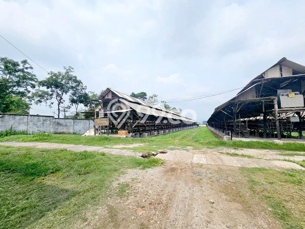Unit Gudang Strategis di Lawang, Malang Potensi Cuan Besar Unit Gudang Strategis di Lawang, Malang Potensi Cuan Besar
