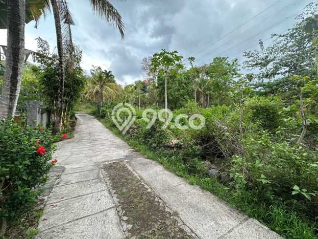 Tanah Kavling Dijual di Kayuputih, Buleleng dengan Luas Tanah 7120m2 Tanah Kavling Dijual di Kayuputih, Buleleng dengan Luas Tanah 7120m2
