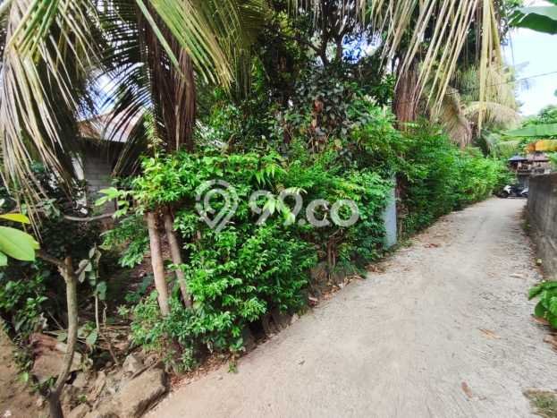Rumah Budget Favorit Siap Huni di Sukasada LT 200m2 Rumah Budget Favorit Siap Huni di Sukasada LT 200m2